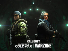 How to change username in cold war & warzone