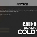 cod cold war error code