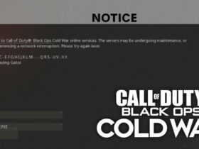 cod cold war error code