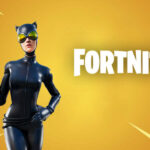 Fortnite Catwoman Zero Skin