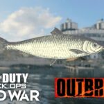 cod cold war outbreak fishing