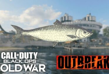 cod cold war outbreak fishing