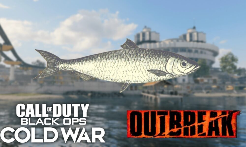 cod cold war outbreak fishing