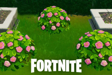 Fortnite shrub locations