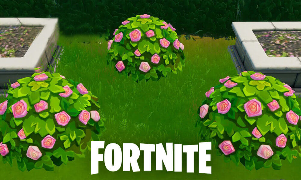 Fortnite shrub locations