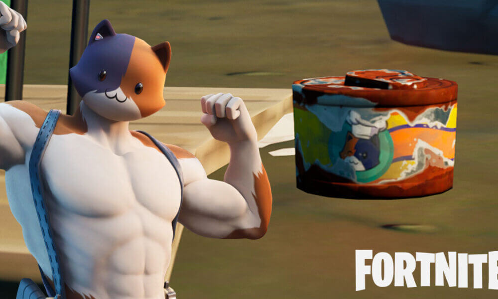 Fortnite meowscles and vintage cat food can