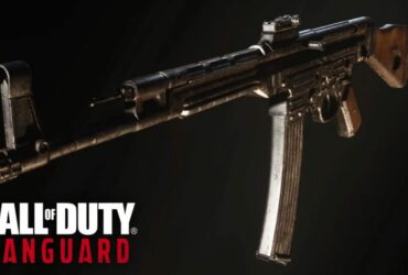 cod vanguard stg44