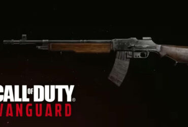 call of duty vanguard bar