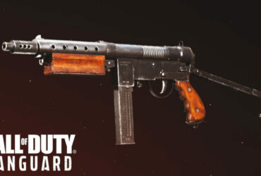 Welgun in CoD Vanguard