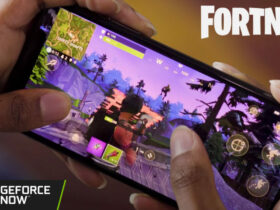 Fortnite mobile player