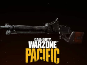 Best type 11 loadout warzone pacific