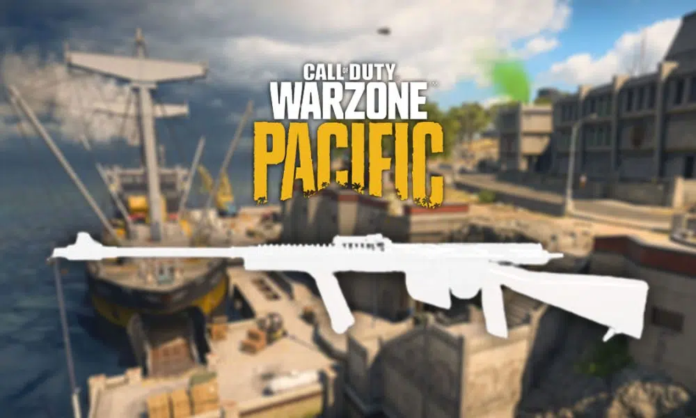 Warzone NZ-41 assault rifle against Rebirth Island