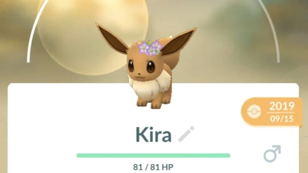 Un Eevee renombrado Kira en Pokémon Go