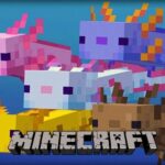 Minecraft axolotls cover