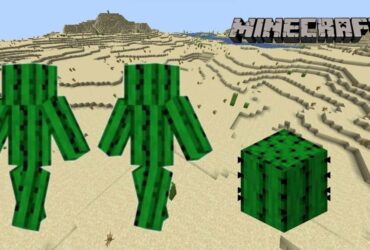 Minecraft cover with a Cactus block and Cactus characters