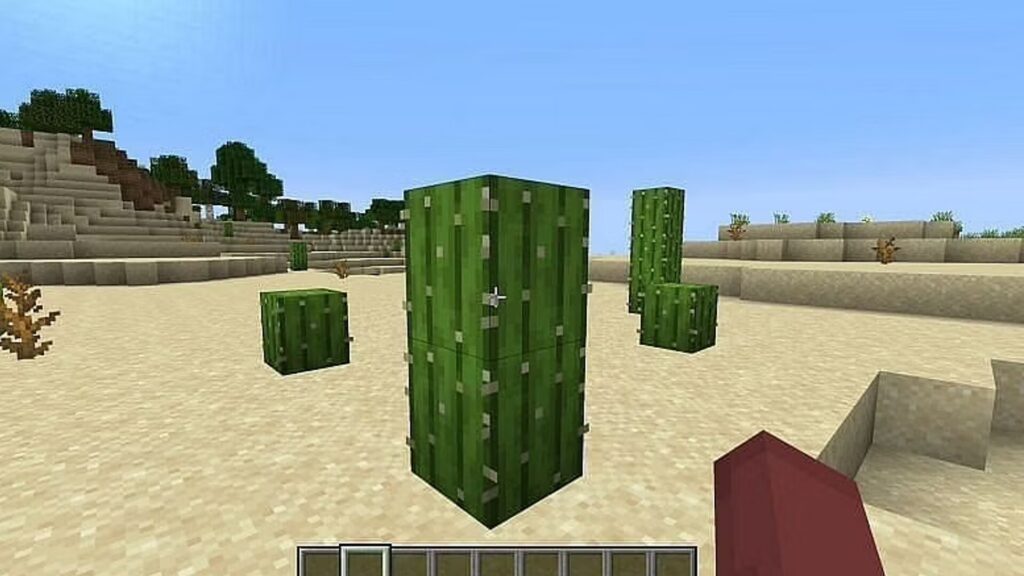 Cactus en Minecraft