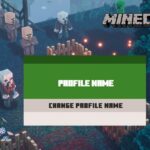 Change profile name option in Minecraft