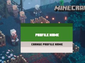 Change profile name option in Minecraft