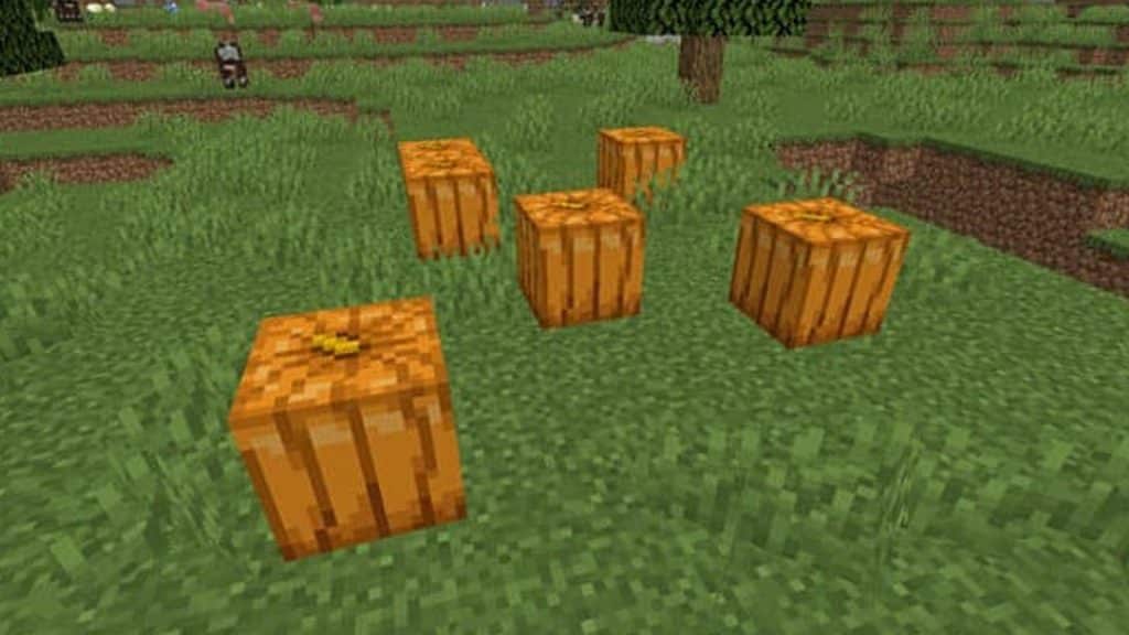 Calabazas en Minecraft