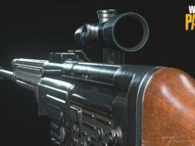 SVT-40 PU 3-6x scope on STG44 in Warzone