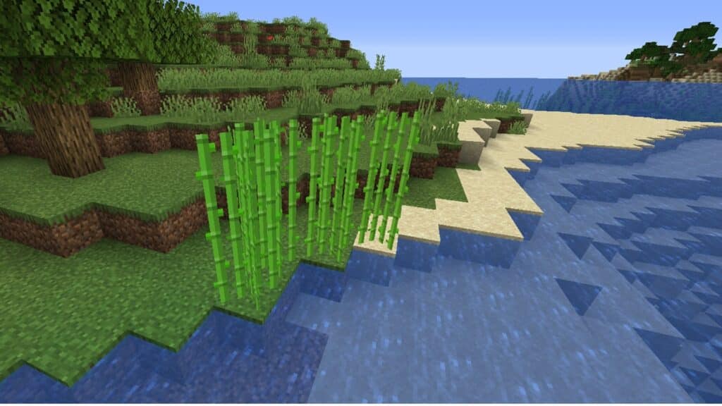 Caña de azúcar que crece cerca del agua en Minecraft