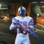 warzone fourth of july skin