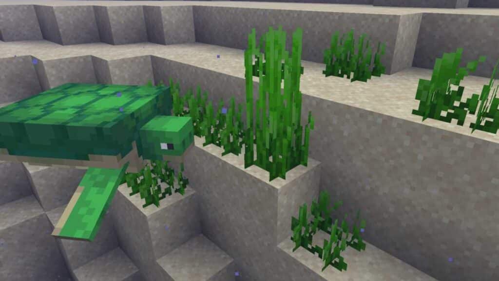 Una tortuga de Minecraft junto a la hierba marina