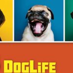 DogLife promo art