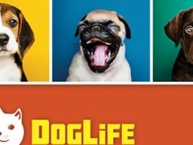 DogLife promo art