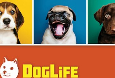 DogLife promo art