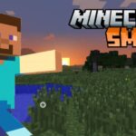 Minecraft SMP server