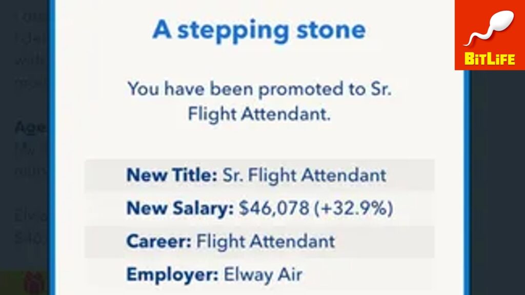 Trabajo de asistente de vuelo senior en BitLife