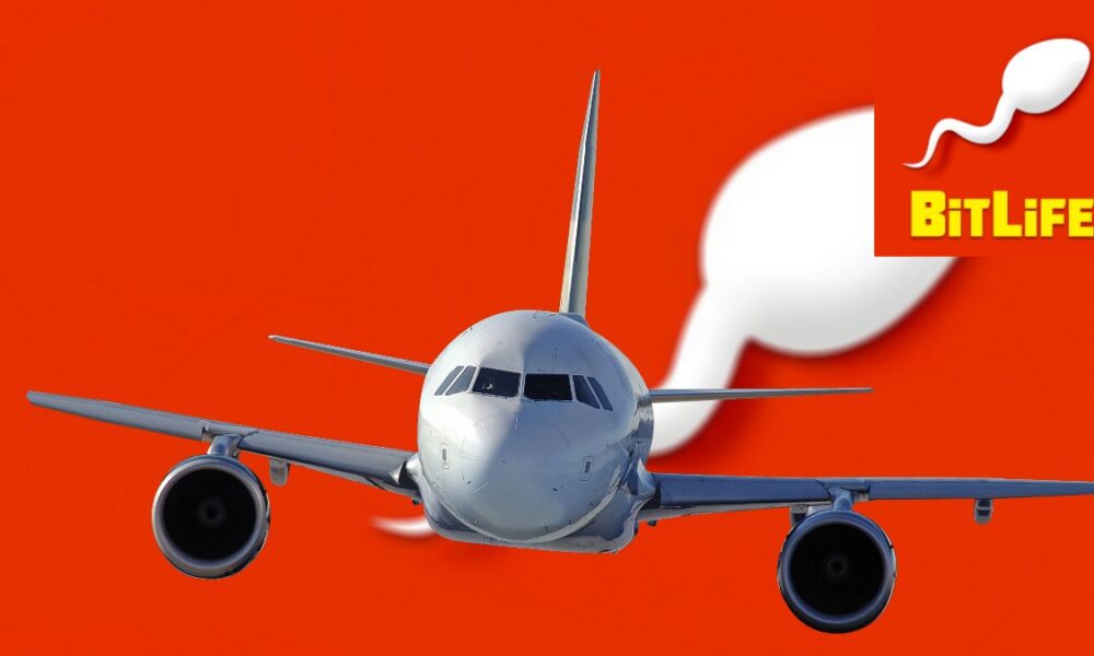 How to become a pilot in BitLife