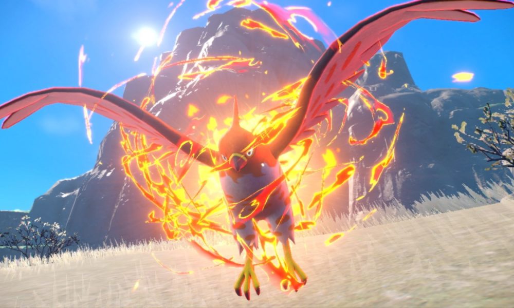 Talonflame pokemon in scarlet violet