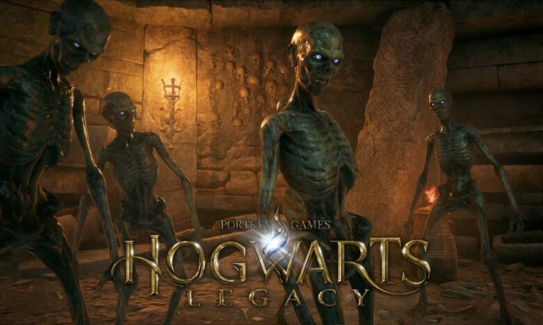 hogwarts legacy dark arts battle arena reddit