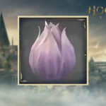 Shrivelfig Fruit in Hogwarts Legacy