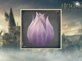 Shrivelfig Fruit in Hogwarts Legacy