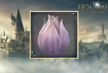 Shrivelfig Fruit in Hogwarts Legacy