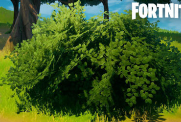 Bush in Fortnite