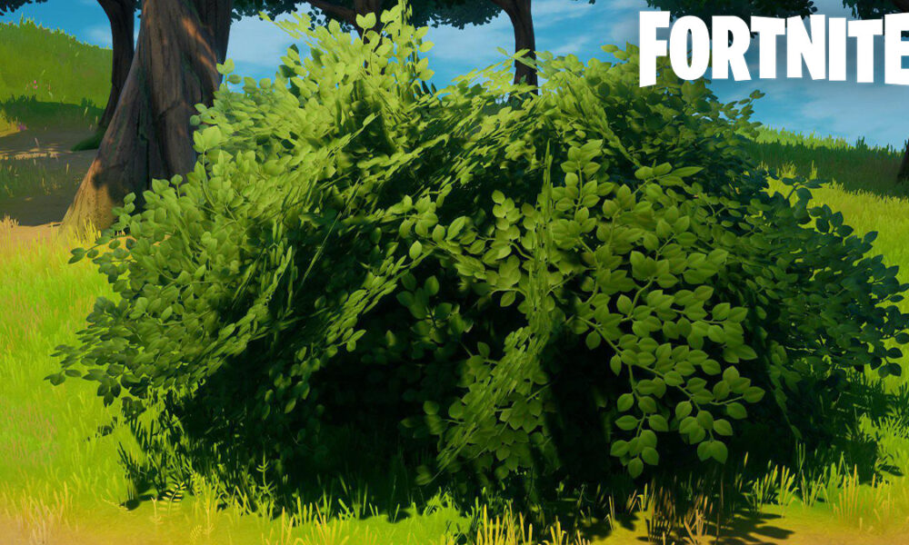 Bush in Fortnite