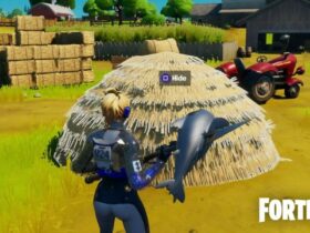 Fortnite player looking at Haystack