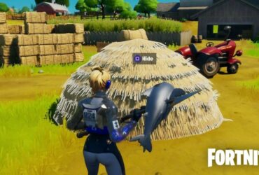 Fortnite player looking at Haystack