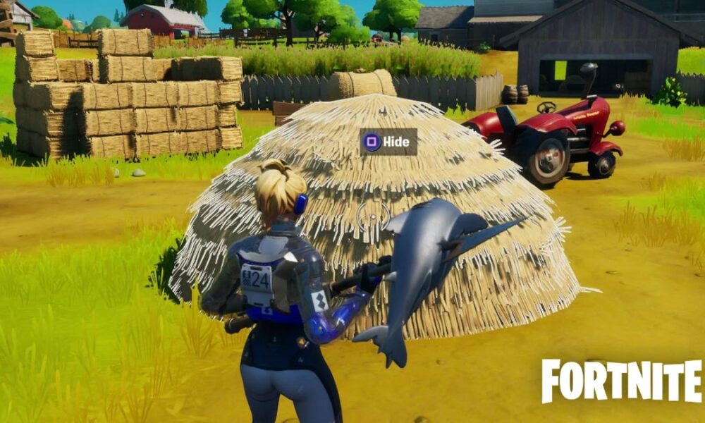 Fortnite player looking at Haystack