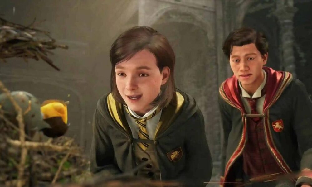 Hogwarts Legacy characters looking at bird