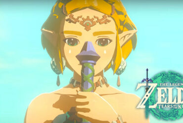 Zelda in Tears of the Kingdom