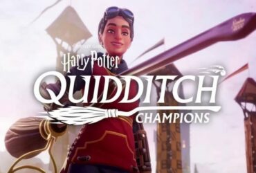 Harry Potter Quidditch Champions