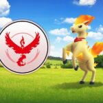 Ponyta with a Candela-inspired accessory in Pokemon Go