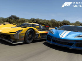 A Cadillac and a Corvette racing in Forza Motorsport