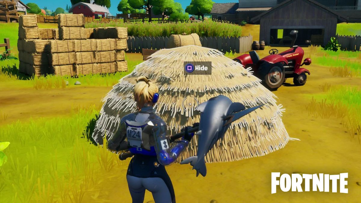 Fortnite player looking at Haystack