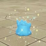 pokemon scarlet and violet shiny ditto image